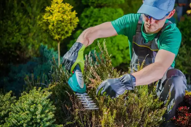 landscaping services Port Byron